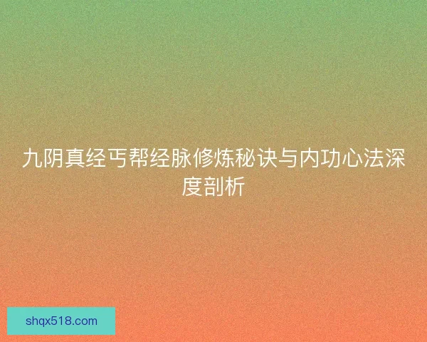 九阴真经丐帮经脉修炼秘诀与内功心法深度剖析