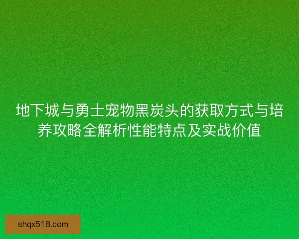 地下城与勇士宠物黑炭头的获取方式与培养攻略全解析性能特点及实战价值 地下城与勇士宠物黑炭头的获取方式与培养攻略全解析性能特点及实战价值