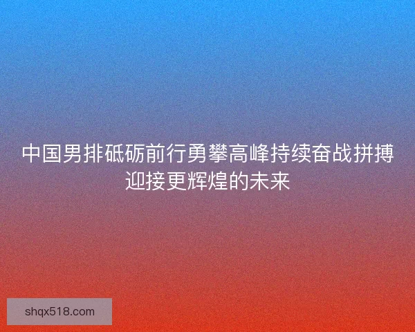中国男排砥砺前行勇攀高峰持续奋战拼搏迎接更辉煌的未来